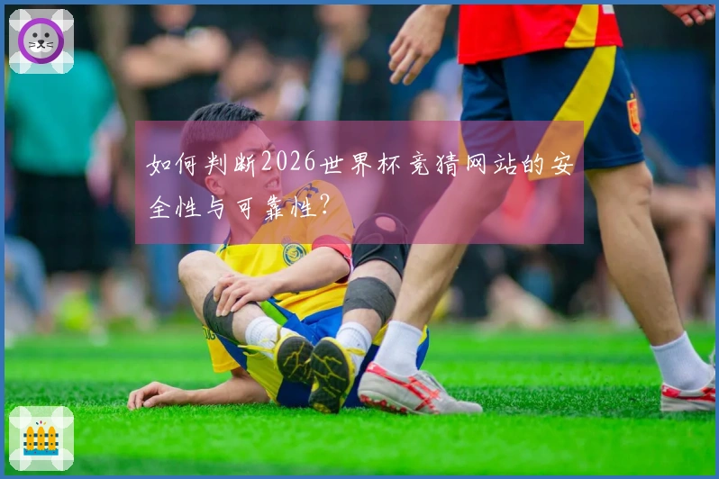如何判断2026世界杯竞猜网站的安全性与可靠性？