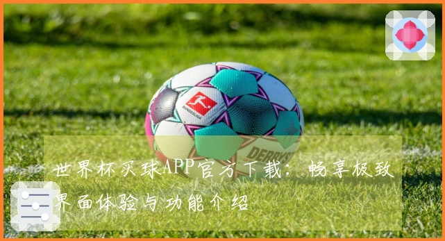 世界杯买球APP官方下载：畅享极致界面体验与功能介绍