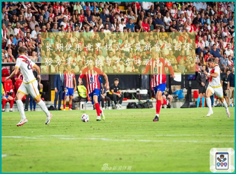 长期使用世界杯买球最新官网的体验分享：功能与平台评测总结
