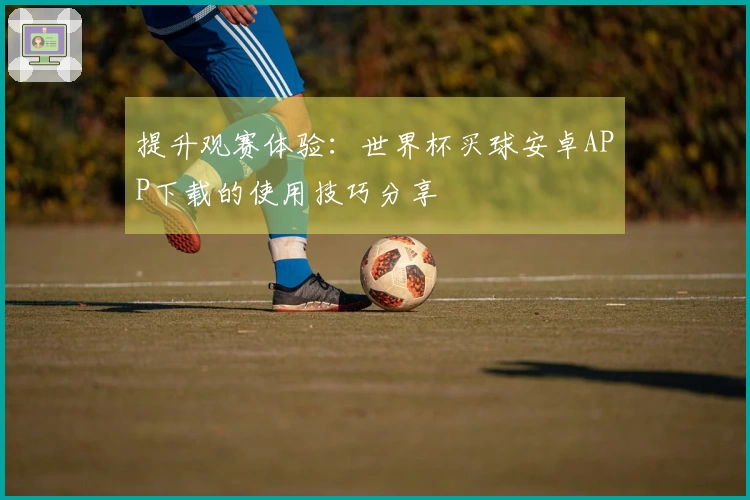提升观赛体验：世界杯买球安卓APP下载的使用技巧分享