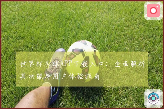 世界杯买球APP下载入口：全面解析其功能与用户体验指南