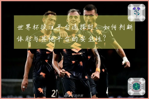 世界杯投注平台选择时，如何判断体彩与其他平台的安全性？