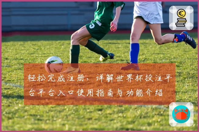 轻松完成注册，详解世界杯投注平台平台入口使用指南与功能介绍