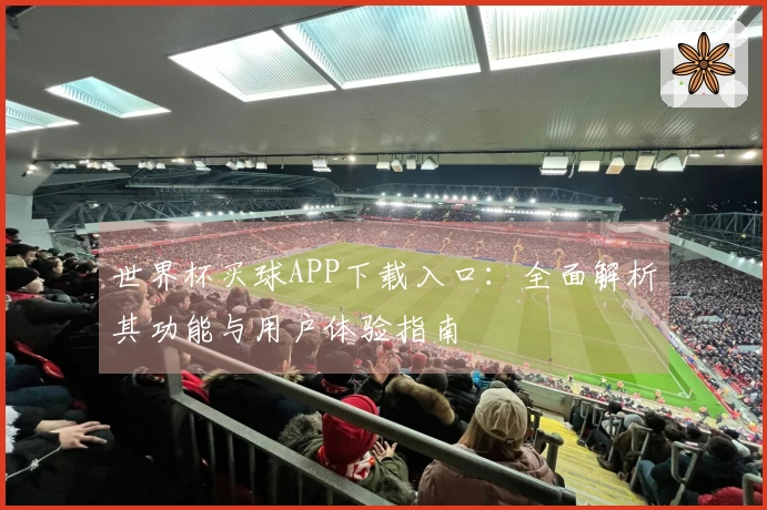 世界杯买球APP下载入口：全面解析其功能与用户体验指南