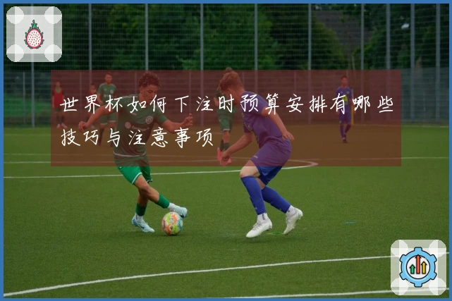 世界杯如何下注时预算安排有哪些技巧与注意事项