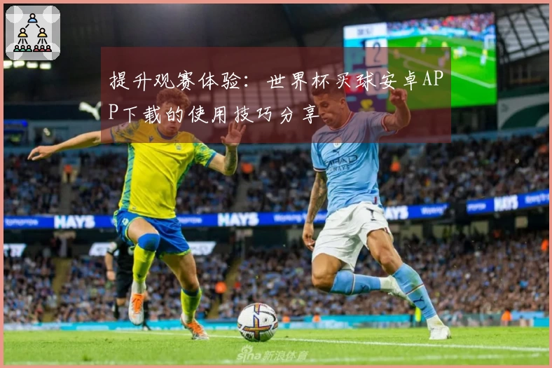 提升观赛体验：世界杯买球安卓APP下载的使用技巧分享