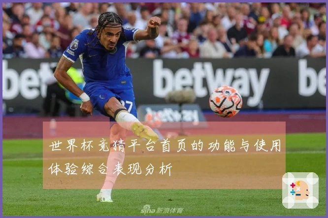 世界杯竞猜平台首页的功能与使用体验综合表现分析