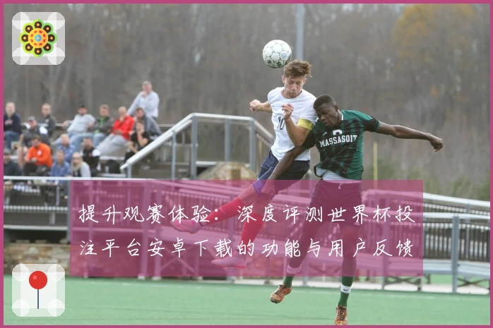 提升观赛体验：深度评测世界杯投注平台安卓下载的功能与用户反馈