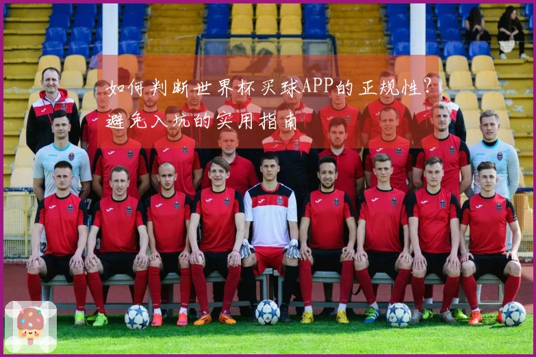 如何判断世界杯买球APP的正规性？避免入坑的实用指南