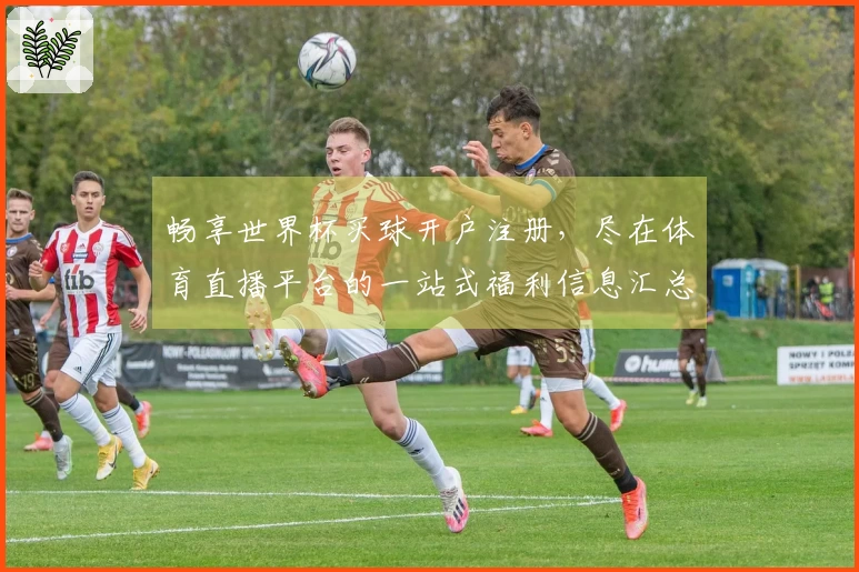 畅享世界杯买球开户注册，尽在体育直播平台的一站式福利信息汇总