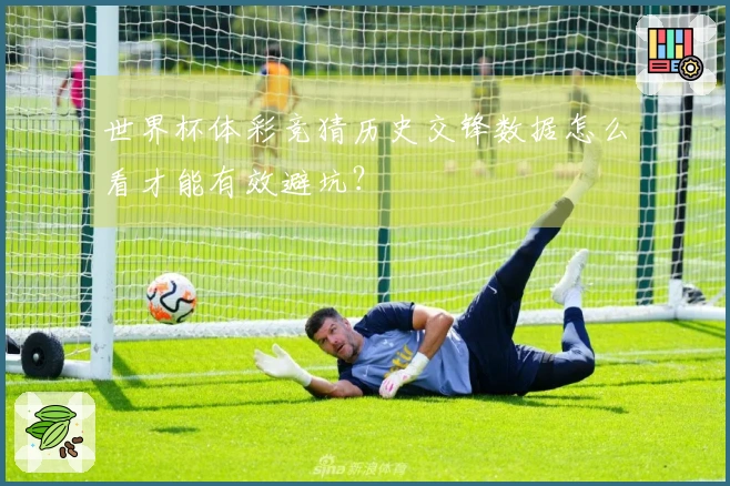 世界杯体彩竞猜历史交锋数据怎么看才能有效避坑？