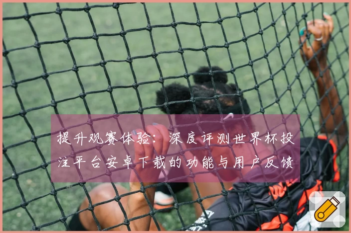 提升观赛体验：深度评测世界杯投注平台安卓下载的功能与用户反馈