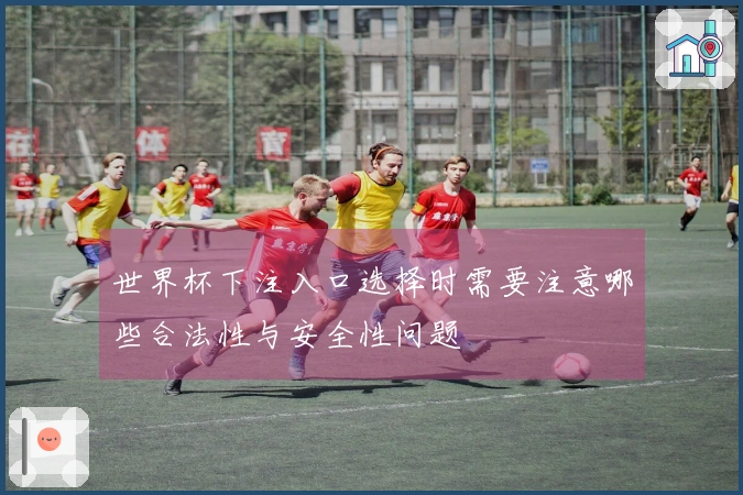 世界杯下注入口选择时需要注意哪些合法性与安全性问题