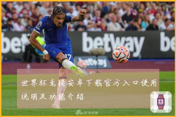 世界杯竞猜安卓下载官方入口使用说明及功能介绍