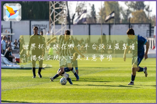世界杯买球在哪个平台投注最靠谱？揭秘正规入口及注意事项