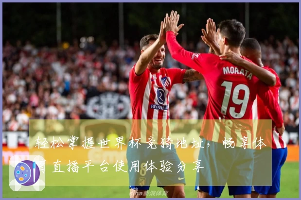 轻松掌握世界杯竞猜地址，畅享体育直播平台使用体验分享