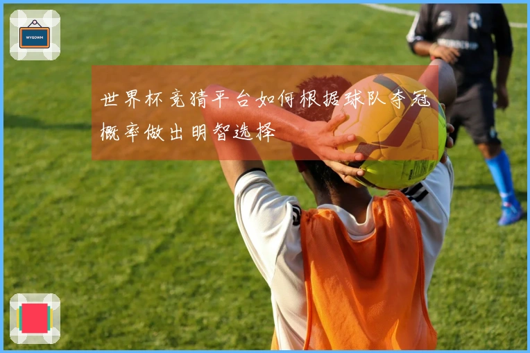 世界杯竞猜平台如何根据球队夺冠概率做出明智选择