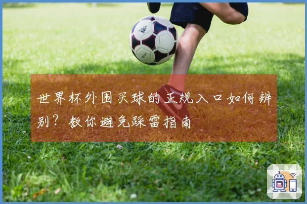 世界杯外围买球的正规入口如何辨别？教你避免踩雷指南