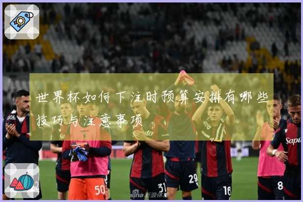 世界杯如何下注时预算安排有哪些技巧与注意事项