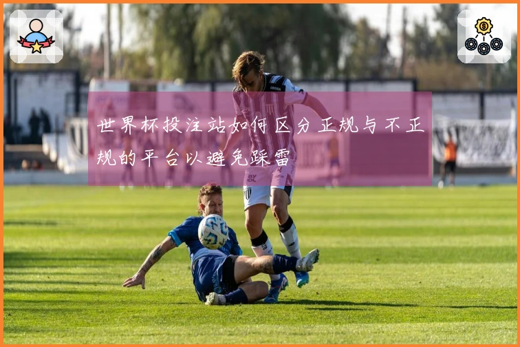 世界杯投注站如何区分正规与不正规的平台以避免踩雷